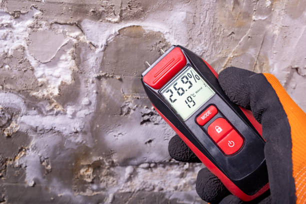 Best Office Mold Removal Services  in Chicago, IL