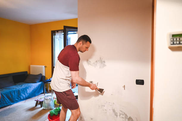 Best Certified Mold Removal  in Chicago, IL